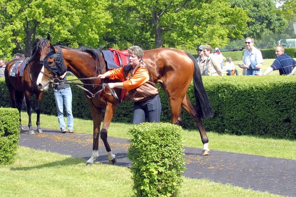 Neue Bult Mai09   050.jpg